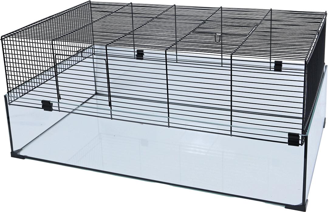 Oswald pond Datum Inter-Zoo hamsterkooi Hamsterscape 78 Zwart | Hano voor uw dier