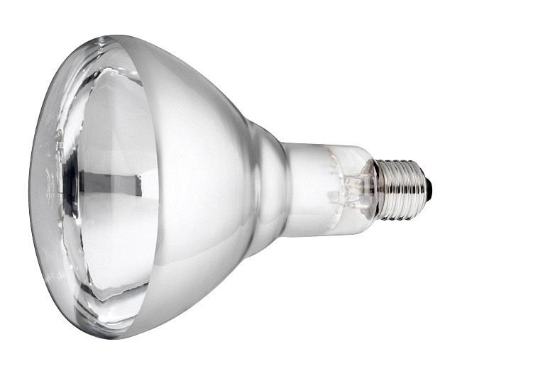 Bijna dood Bezwaar Blind Lamp 250 w/wit Hard Glas Philips | Hano voor uw dier
