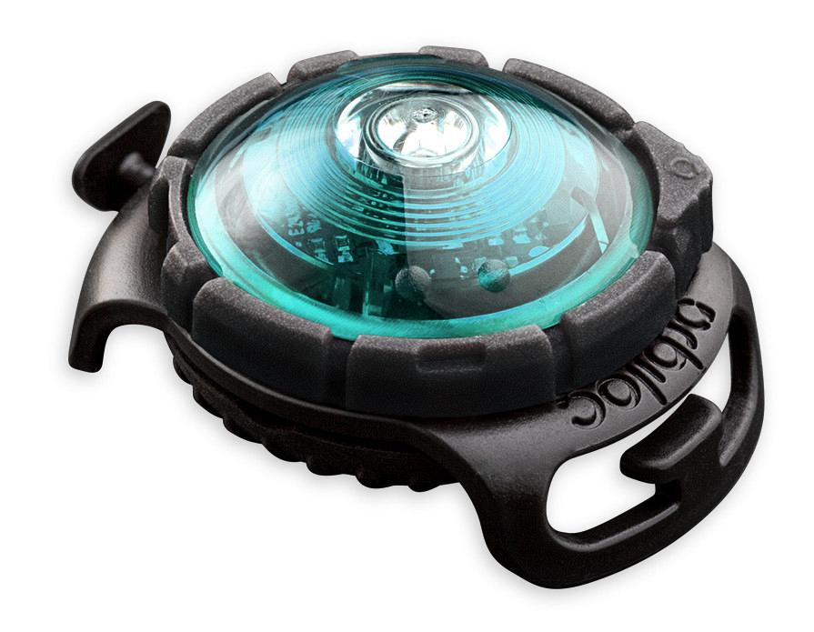 Orbiloc Safety Light Dog Dual turquoise Hano voor uw dier