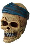 Aqua D'ella pirate skull head-crack