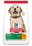 Hill's Science Plan Puppy Large Breed kip 16 kg