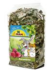 JR Farm bessen/bladeren 100 gr