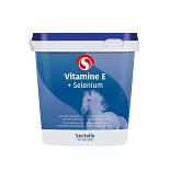 Sectolin Equivital Vitamine E + Selenium 3 kg