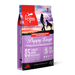 Orijen hondenvoer Puppy Large Breed 6 kg