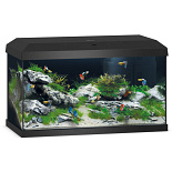 Juwel Aquarium Primo 60 2.0 Zwart
