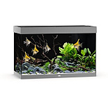 Juwel Aquarium Rio 290 LED met Filter Grijs