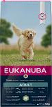 Eukanuba hondenvoer Adult Large Breed lamb & rice 12 kg