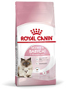 Royal Canin Kattenvoer Mother & Babycat 10 kg