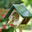 Vogelbescherming Nederland Cork Peanut Butter Feeder