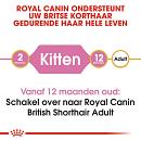 Royal Canin kattenvoer British Shorthair Kitten 2 kg