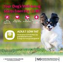 Wellness CORE hondenvoer Small Healthy Weight 1,5 kg