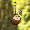 CJ Wildlife hele kokosnoot meelwormen-insecten