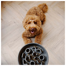 District 70 Slow Feeder Grey