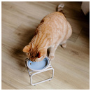 District 70 Voerbakstandaard Butler Enkel Beige