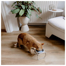 District 70 Voerbakstandaard Butler Enkel Beige