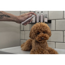 Frenky Lewis Anti-Smell Spray