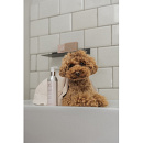 Frenky Lewis Shampoo