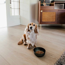 District 70 Voer- en Drinkbak Royal Antraciet