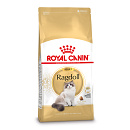 Royal Canin Kattenvoer Ragdoll Adult 10 kg
