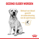 Royal Canin Hondenvoer Labrador Retriever Adult 5+ 3 kg