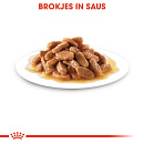 Royal Canin Hondenvoer Medium Puppy 10 x 140 gr
