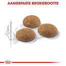 Royal Canin Kattenvoer Outdoor 400 gr