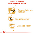 Royal Canin Hondenvoer Cavalier King Charles Adult 1,5 kg