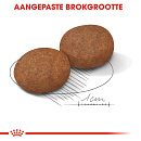 Royal Canin Hondenvoer Medium Adult 7+ 10 kg