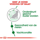 Royal Canin Hondenvoer Mini Ageing 12+ 800 Gr