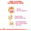Royal Canin Kattenvoer British Shorthair Kitten 10 kg
