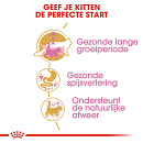 Royal Canin Kattenvoer Maine Coon Kitten 4 kg