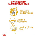 Royal Canin Kattenvoer Bengal Adult 2 kg