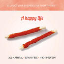 Antos Rawhide White Roll met Chicken <br>20 cm 2 st