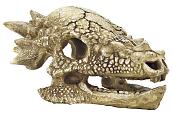 SuperFish Skull T-Rex M