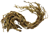 SuperFish Bonsai Wave L