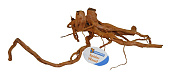 SuperFish Spiderwood large