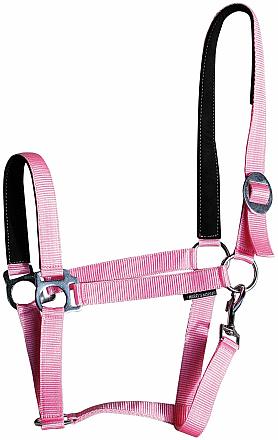 Harry's Horse halster padded 