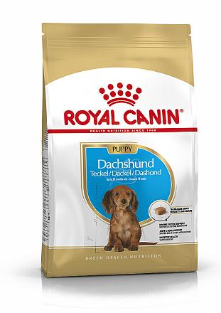 Royal Canin hondenvoer Dachshund Puppy 1,5 kg