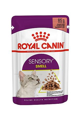 Royal Canin kattenvoer Sensory Smell in gravy 12 x 85 gr