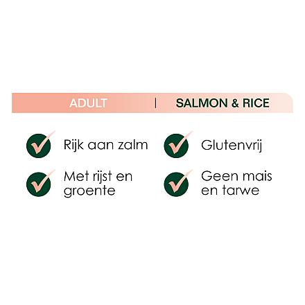 Premium Care Original Adult Salmon & Rice <br>3 kg