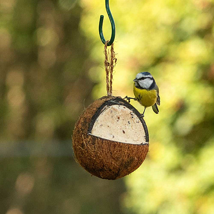 CJ Wildlife hele kokosnoot meelwormen-insecten