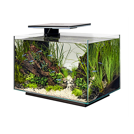 SuperFish Aquarium Quadro 70 Pro Zwart