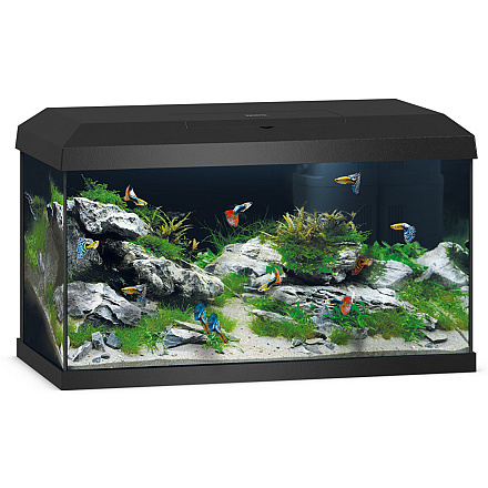 Juwel Aquarium Primo 60 2.0 Zwart