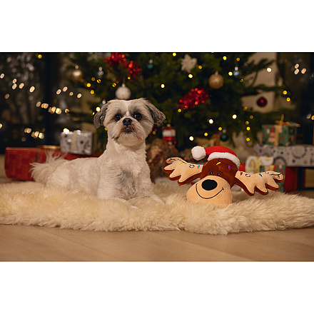 Beeztees Hondenspeelgoed Kerstknuffel Rudolf