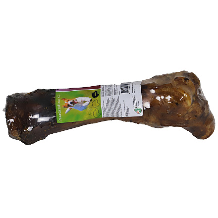 Paardendinobot Gedroogd