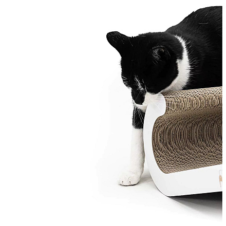 Petrebels Krabkarton Scratch 'n Rebel Bella 60 White