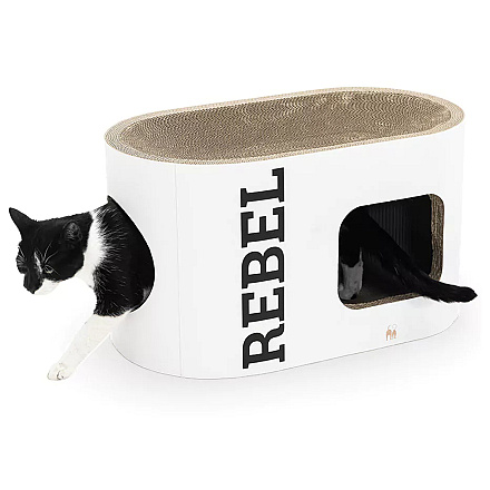 Petrebels Krabkarton Scratch 'n Rebel Ruby 60 White