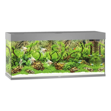 Juwel Aquarium Rio 240 LED met Filter Grijs