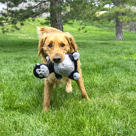 Kong Knots Belly Gorilla M/L