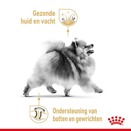Royal Canin Hondenvoer Pomeranian Adult 1,5 kg